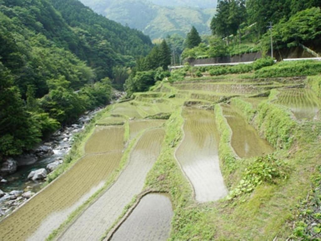 Auberge Tosayama Kōchi Exterior foto
